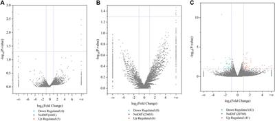 Transcriptome analysis reveals pituitary lncRNA, circRNA and mRNA affecting fertility in high- and low-yielding goats